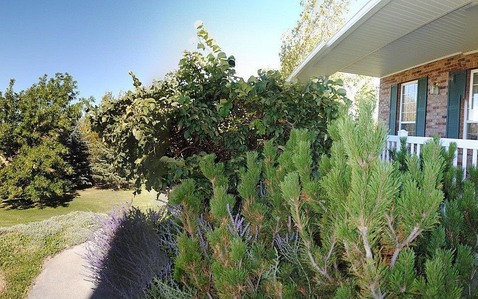 2nd image of 7047 E Iona Rd