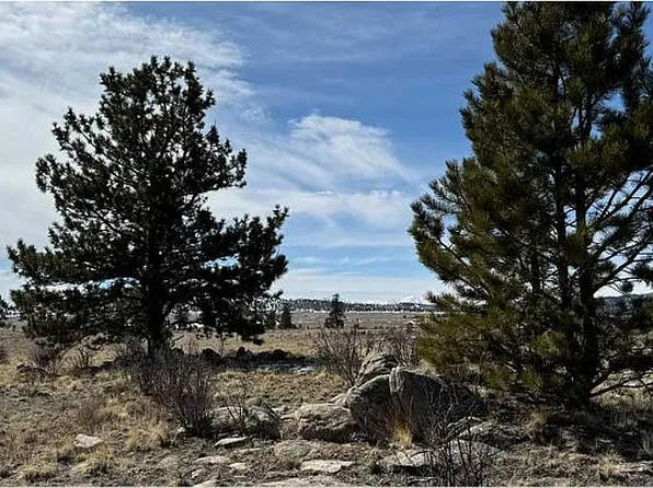 128 Pandy Dr, Hartsel, CO 80449