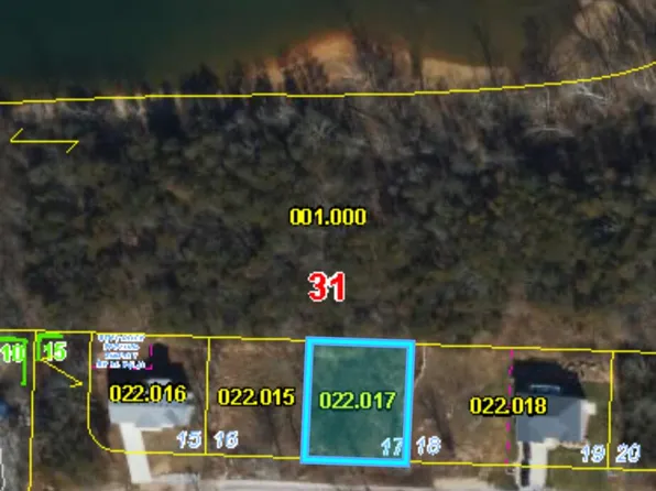 Lot 17 Clear Clove Landing, Reeds Spring, MO 65737