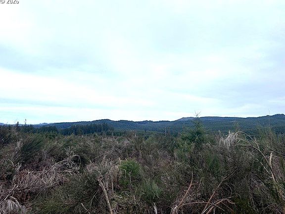 4th image of Timber Rd