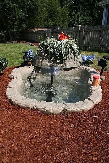 Fish Pond