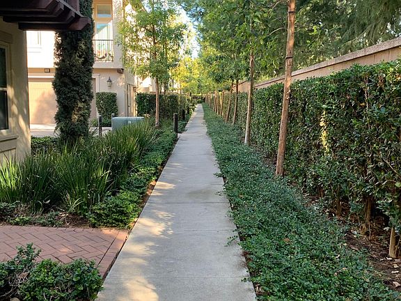 Tranquil garden landscape leading to front door