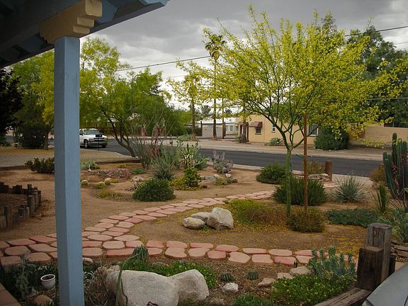 Looking out from front yard