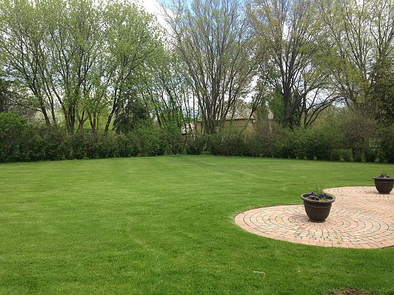 Back Yard near driveway