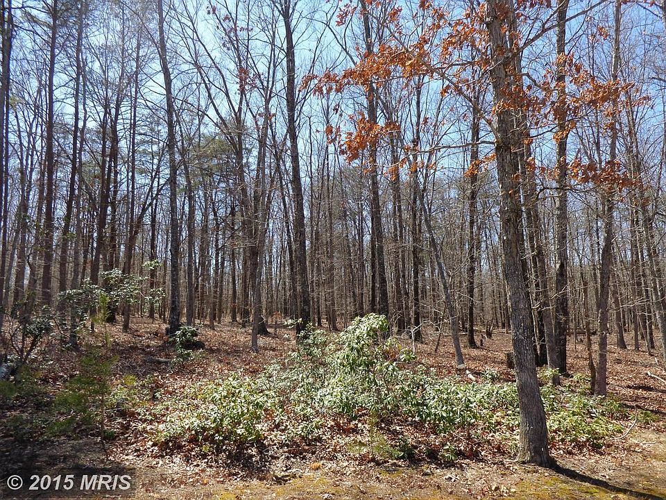 The Perfect Home Site - .56 Acres