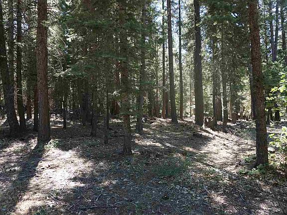 2nd image of 2420 & 2440 Crooked Creek Ln