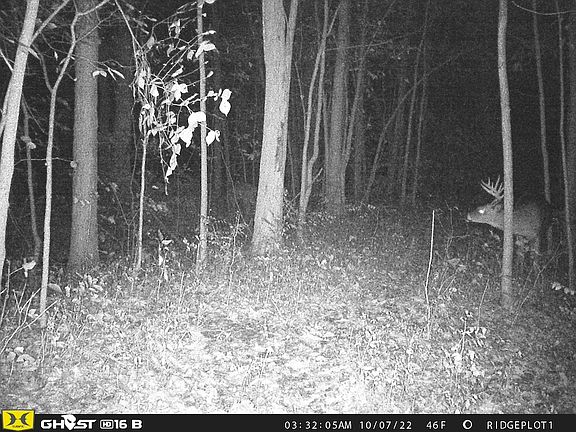 2nd image of 44975 38th Ave