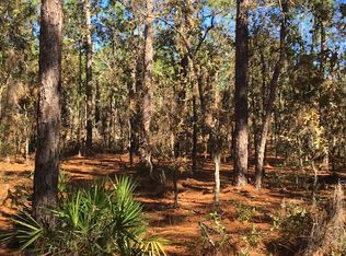 5295 Nodoc Rd, Spring Hill, FL 34609