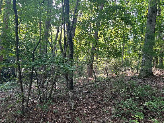 2nd image of 875 Old Mill Rd
