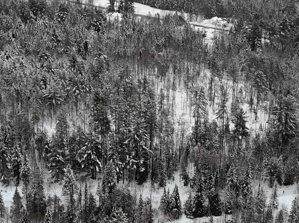 00 Wheelock Road, Sutton, VT 05867