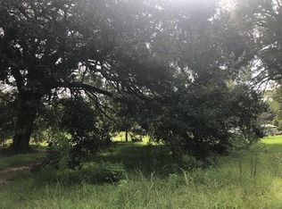 31658 Pea Ridge Rd, Albany, LA 70711