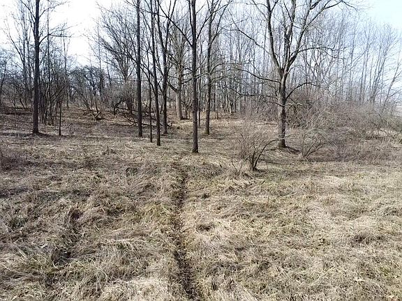 4th image of 8453 S Durand Rd