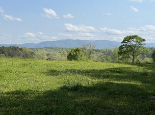 375 Payne Ln, Mineral Bluff, GA 30559