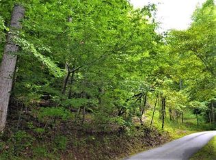 0 Young Cove, Franklin, NC 28734