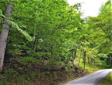 0 Young Cove, Franklin, NC, 28734