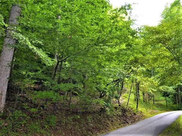 0 Young Cove, Franklin, NC 28734