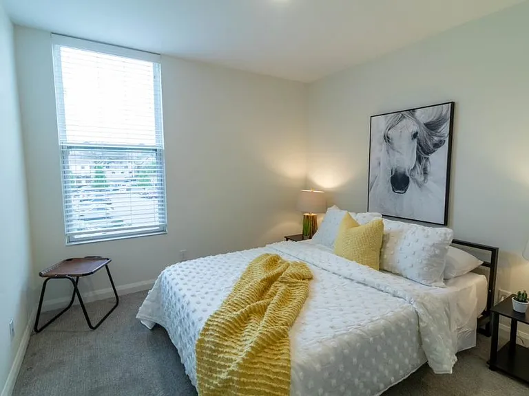 The King Apartments — Photo 9