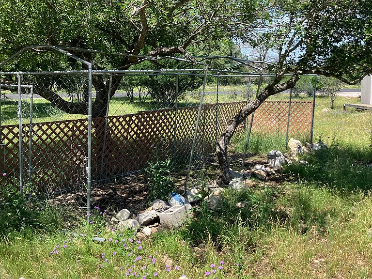 Shaded Dog Run