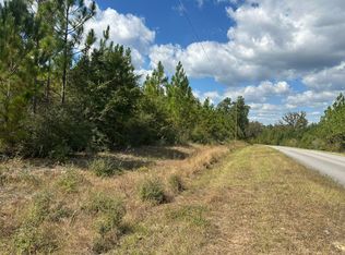 PARCEL New Ebenezer Rd #A, Laurel Hill, FL 32567