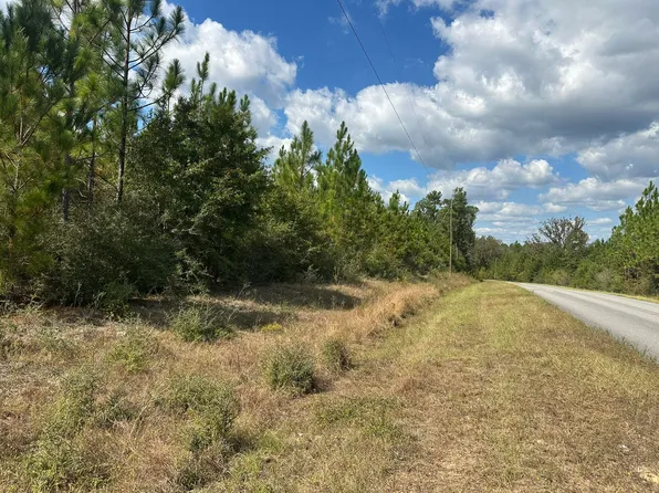PARCEL New Ebenezer Rd #A, Laurel Hill, FL 32567