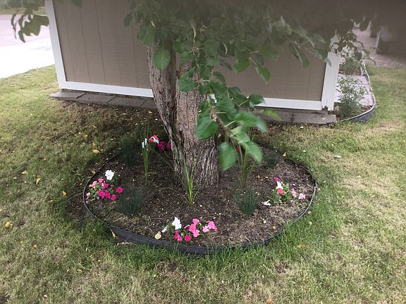 summer flowers & apple tree