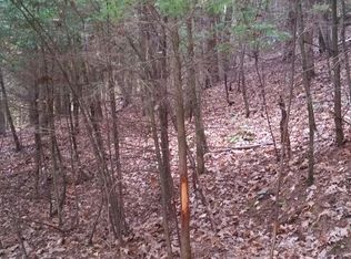 0 Cr #22, Cameron, NY 14819