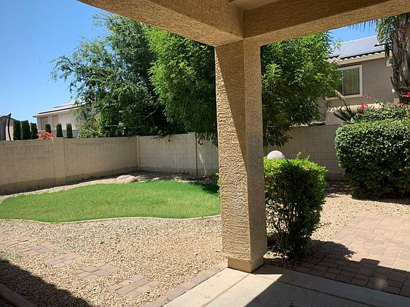 back yard