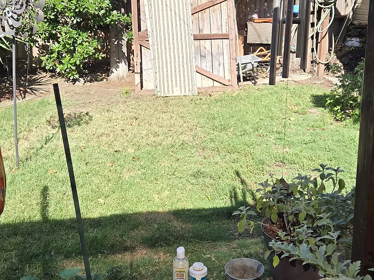 1914 Riddle Ct — Photo 6