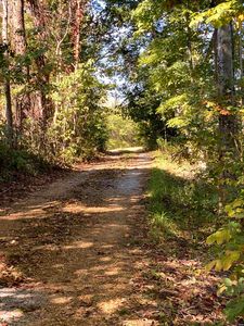 766 Jackson Hill Rd, Hornbeak, TN, 38232