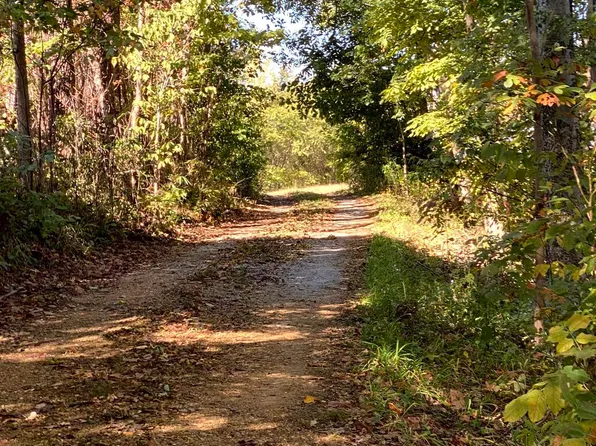 766 Jackson Hill Rd, Hornbeak, TN 38232