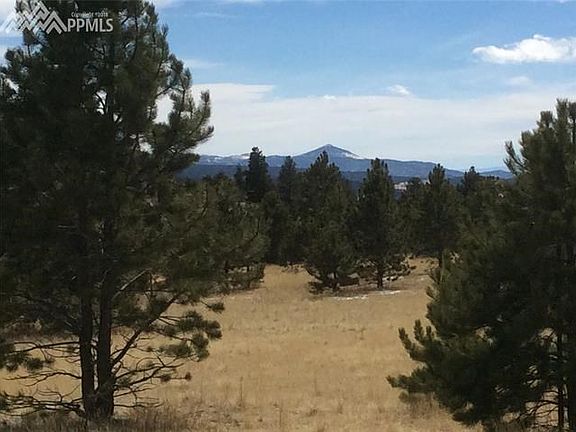 4th image of 335 Gold Creek Dr