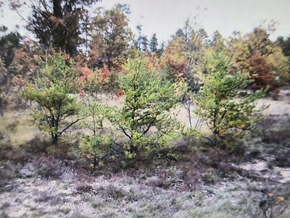 1st image of 2 Northwood Dr