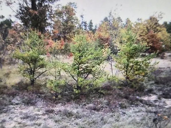 2 Northwood Dr, Grayling, MI 49738