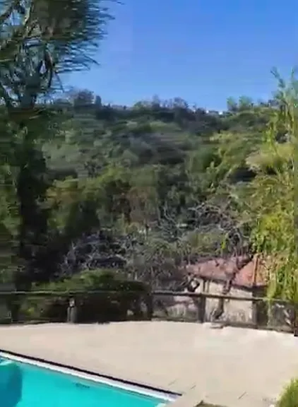 2828 Benedict Canyon Dr — Photo 21