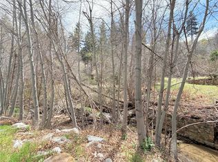 29949 Hook Creek Rd, Cedar Glen, CA 92321