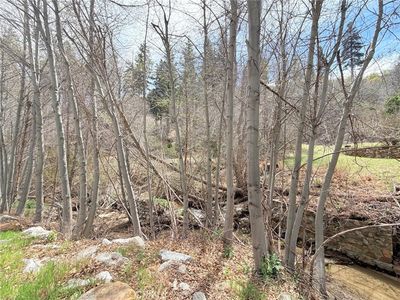 29949 Hook Creek Rd, Cedar Glen, CA, 92321