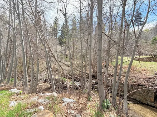 29949 Hook Creek Rd, Cedar Glen, CA 92321