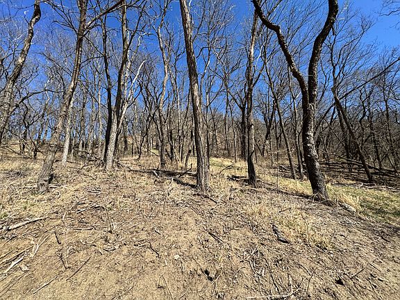 3rd image of 2290 Bluff Rd