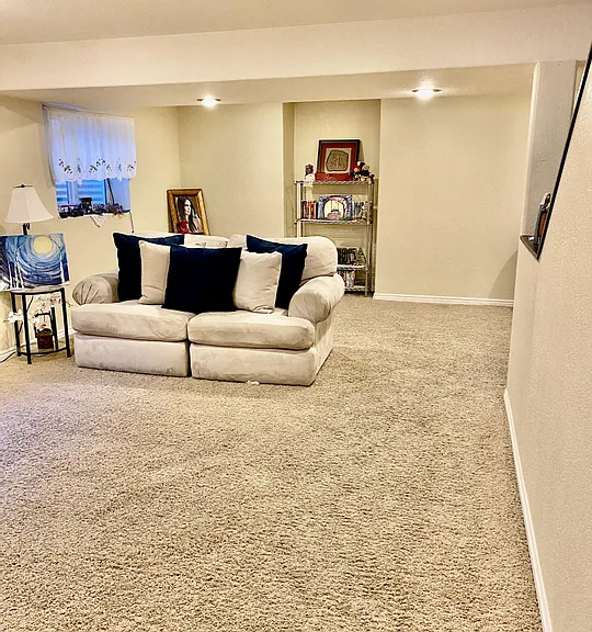 Basement Living Room