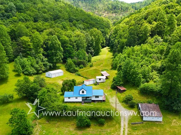 49 Crites Mountain Rd, Little Birch, WV 26629