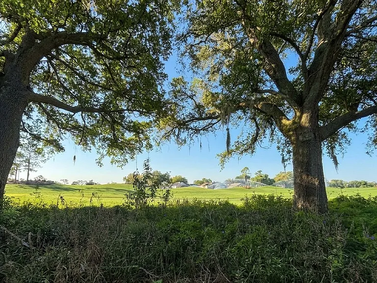 2487 Saint Augustine Blvd — Photo 21