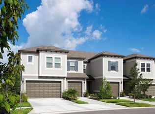 31577 Blue Passing Loop, Wesley Chapel, FL 33545