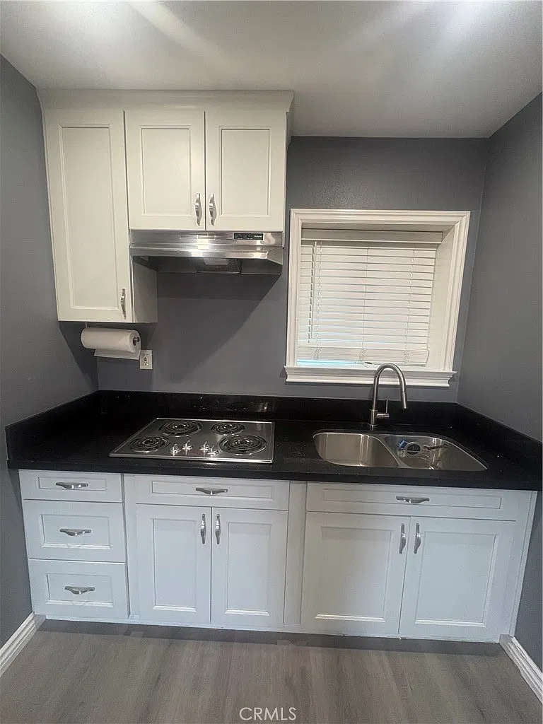 Studio, 440 sqft, $1,500 — Photo 3