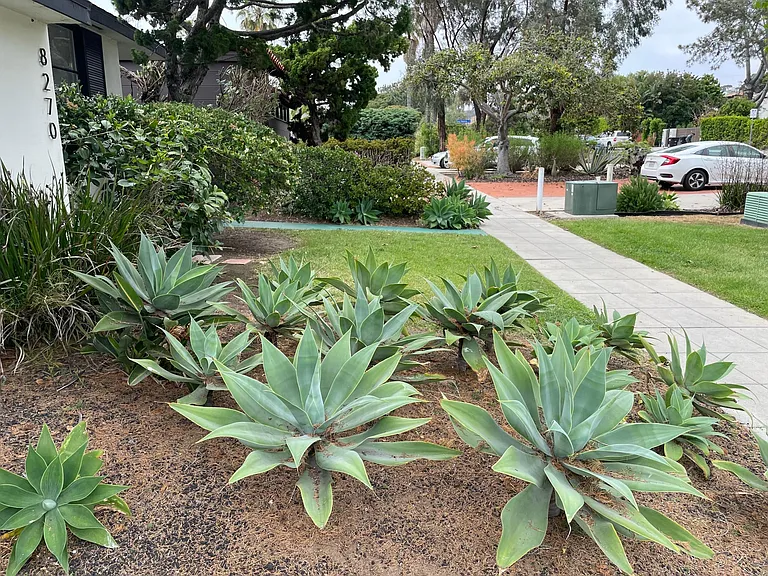 8270 La Jolla Shores Dr — Photo 28