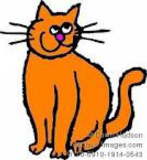 Cats Okay!