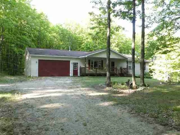 6207 W Phelps Rd, Manton, MI 49663