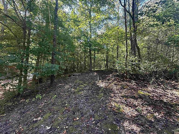 5th image of Quackenbush Springs Rd