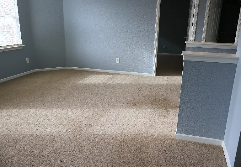 9894 Orange Blossom Trl — Photo 9