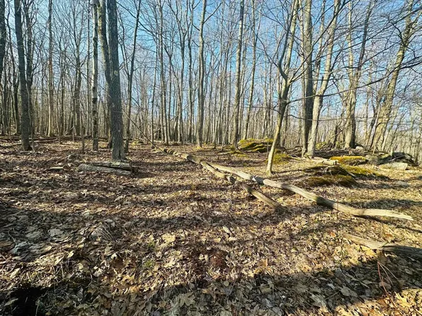 Daylily Ct, Terra Alta, WV 26764