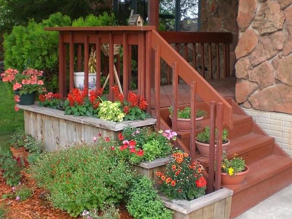 Front steps, flowers